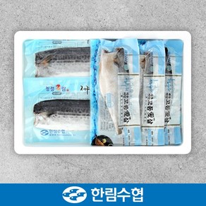 제주 한림수협 고등어살 & 담백한 삼치살 1.26kg / 고등어살*8팩(960g)+삼치살*2팩(300g), 1박스