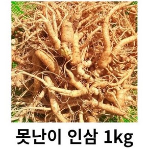 인삼 못난이 인삼 5년근 6년근 1kg 파지 못난이 삼계탕 인삼 홍삼 못난이 인삼 1kg 홍삼용