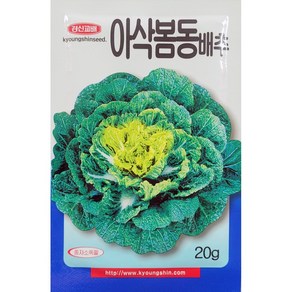 [모종심는아빠] 맛있고 아삭아삭 고소한 쌈 샐러드용 아삭봄동배추 종자 20g, 1개