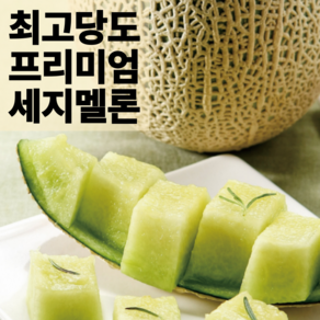 [요즘과일] 고당도멜론 세지멜론 머스크멜론 멜론맛집, 1박스, 1수 (1.7kg 이상)