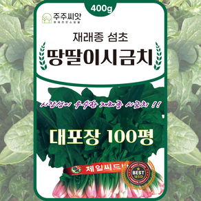 [주주씨앗] 오스템 땅딸이 시금치씨앗 400g 대포장 월동시금치 종자 씨 손파종 50평 기계파종 100평용 가을 겨울 파종 채소씨앗 섬초 노지월동