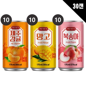 [중앙몰] 다인 서편제 복숭아+제주감귤+망고 175ml 각10개 총30캔, 1세트, 1세트