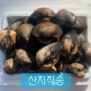 싱싱하고 알이 꽉찬 피꼬막 2kg