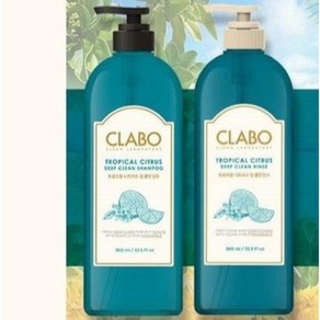 애경 ClABO 클라보 시트러스 샴푸린스세트 960ml X 2 청소년 비듬샴푸 약산성샴푸 모발샴푸 극손상, 1세트, 1.92L