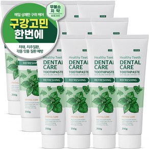 쉼표365 구취케어 대용량 치약 250g x 12개입 잇몸케어 무불소 입냄새제거 치태제거, 12개