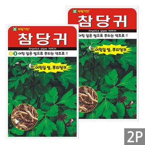 세인화분 참당귀 200립 - 국산 씨 씨앗 토당귀 당귀, 2개