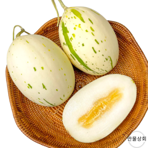 [만물상회]산지직송 깔끔한 단맛 촉촉한 과즙 프리미엄 고당도 백자멜론, 1박스, 1통 (1.5kg 내외)