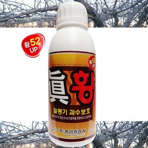 유황 비료 진황 500ml 월동 농작물 겨울 봄 채소 과수 나무 꽃눈 새순 병해충 예방 방제 식물 영양제 텃밭 주말농장 사과 복숭아 배 유황제 농사용 액비 +계량컵 식물푯말세트, 1개