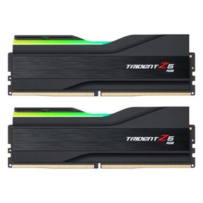 지스킬 DDR5-6800 CL34 TRIDENT Z5 RGB J 패키지 32GB, 2개