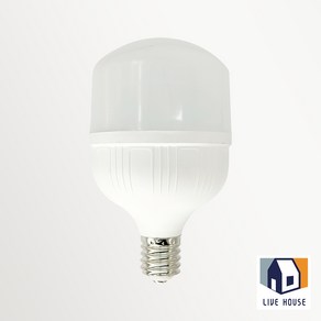 LED 크림벌브 공장등 보안등 가설등 벌브 전구 E26 E39, 주광색(6500K), 50W, 1개