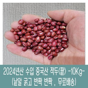 [다온농산] 수입 중국산 적두/빨간팥 -10Kg- 낱알 굵고 반짝반짝