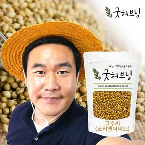 굿허브닝 코리앤더 코리안더 고수씨 실란트로 coiande 향신료 300g, 1개