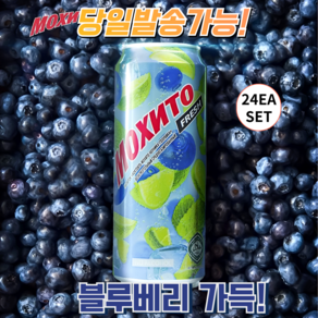 할랄 모히또 라임&블루베리 HALAL MOJITO LITO&BLUEBERRY, 500ml