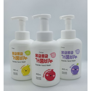 엘시시 몽글몽글 거품비누 400ML Bubble Hand Wash, 석류향거품, 1개