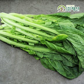 향긋한 향 김치재료 돌산갓 1단(2.5kg 내외), 1개