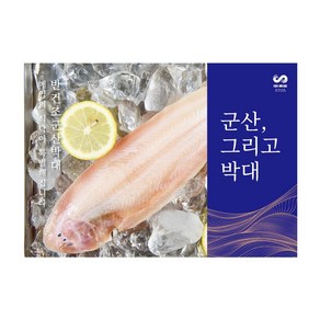 반건조 국내산 군산박대 12미, 1개, 1kg 내외