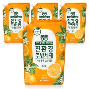 퐁퐁 친환경 주방세제 오렌지향 리필, 1.2L, 4개