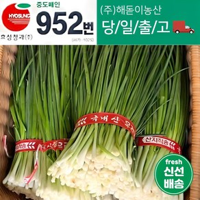 해돋이농산 깐쪽파 1단 2단 3단 5단 10단, 1단(1kg내외), 1개