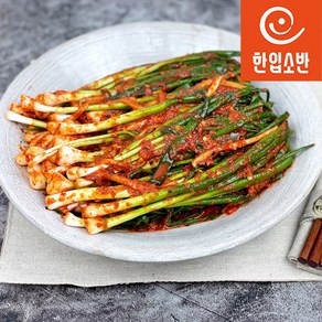 한입소반 직접담근 전라도식 파김치 500g