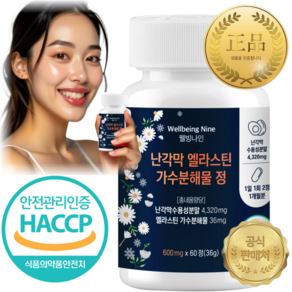 웰빙나인 난각막 엘라스틴 가수분해물 정 구절초 600mg x60정, 2개, 36g