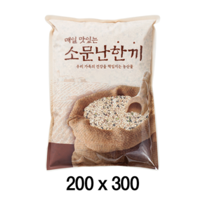 팩플러스 소문난한끼(일반형) 200x300 (1kg) 100매 농산물봉투 / 잡곡 / 쌀 / 잡곡쌀포장, 1개