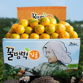 달콤새콤 꿀범벅 타이벡 감귤, 4.5kg 로얄과(S o M), 1개