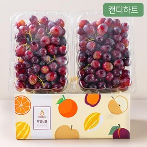 프루미츠 사탕같이 달콤한 캔디 적포도 1.2kg (특품/2입)