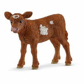 Schleich 슐라이히 13881 [Fam Wold 시리즈 텍사스 소(새끼)], 단일, 1개