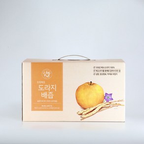 (초록마을) 도라지배즙(100mLx20입), 2L, 1개, 1개