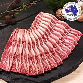 [고추남] 지방제거 꽃갈비 LA갈비 소갈비 1KG 드라이아이스