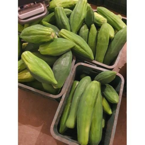 Geen Papaya Somtam 국내산 생 그린 파파야 대용량 특품 5kg 10kg, 1개