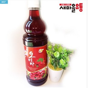 건강스토리 오미자 엑기스, 900ml, 1개