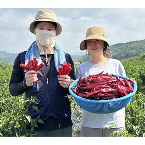 시골냉장고 국산 청송 햇 고춧가루 1kg 보통맛 김장용, 3개