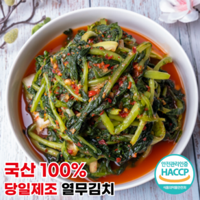 [행운김치] 100% 국산 당일제조 전라도 열무김치, 1개, 5kg