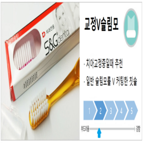 [에스앤지 공식판매점] 치과용 미세모칫솔 치과의사추천 12개입, 교정V슬림모 12개입, 1세트