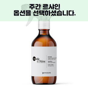 나노아이코닉 르샤인 스프레이 뿌리는유리막코팅제 관리제 뿌리막, 1개, 300ml