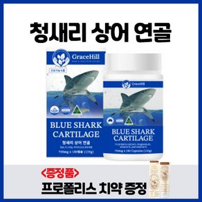 그레이스힐 호주 청새리 상어연골 852mg 180캡슐 3개월분 칼슘 마그네슘 비타민D 비타민K, 1개, 180정