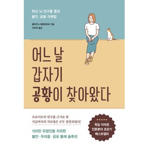 어느 날 갑자기 공황이 찾아왔다:최신 뇌 연구를 통한 불안 공황 극복법