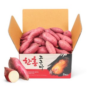 [맛젤] 황토 꿀고구마 특대사이즈 5kg (280g이상), 1개