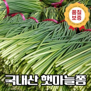 [정성담농원] 국산 최상급 특품 전남 순천 햇 마늘쫑 초특가 산지직송, 1박스, 특품 1kg