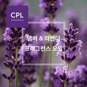 CPL 영국향 프래그런스오일 500ml