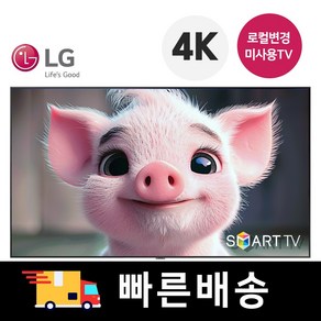 LG전자 43인치 QNED 스마트 LED 티비 43QNED75 미러링 OTT 사용가능, 방문설치, 스탠드형, 109cm(43인치)