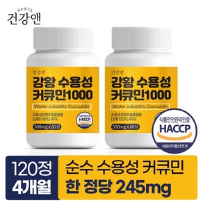 강황 수용성 커큐민 1000 식약청인증 HACCP 건강앤, 60정, 2개