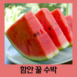[힘찬열매] 함안 꿀 하우스 수박, 1개, 5kg