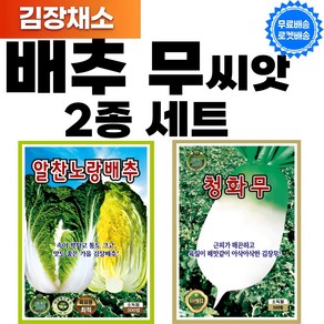 김장 채소 배추 무 씨앗 2종 세트 배추 씨앗 무 씨앗