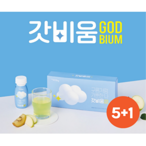 한국 야쿠르트 갓비움 오리지널 장건강 맛있는 유산균 쾌변요구르트, 100ml, 6개