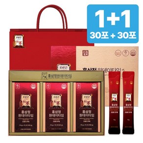 [1+1한정특가] 6년근 홍삼정 홍삼 명절선물 완판10만박스 쇼핑백 유산균 포함 플라이삼육오(주), 2개, 300ml, 1+1(2박스)