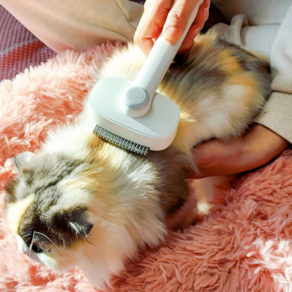 오누리 고양이 반려동물 원터치 브러쉬 엉킨털 제거 2in1, 1개, 화이트