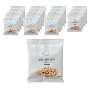 늘봄식품 열풍 병아리콩 20g 이집트콩 건강간식 20g 20개