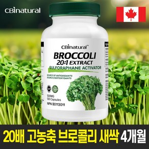 20배 고농축 브로콜리 새싹 500mg 120야채캡슐 설포라판 생성 브로콜리새싹 /캐나다 생산 직발송/캐나다 식약청 GMP NPN인증, 1개, 120정